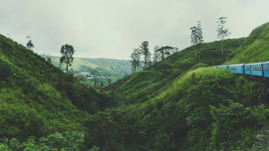 Sri Lanka Holiday Package with Tea Gardens and Beaches